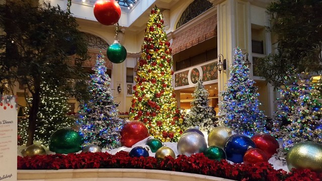 tree.jpg