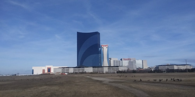 20241227_114430.jpg